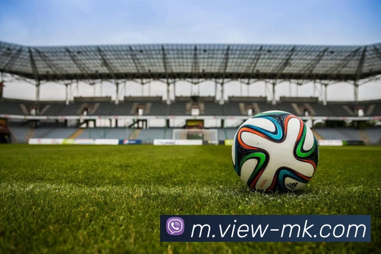 MK体育APP 封面图